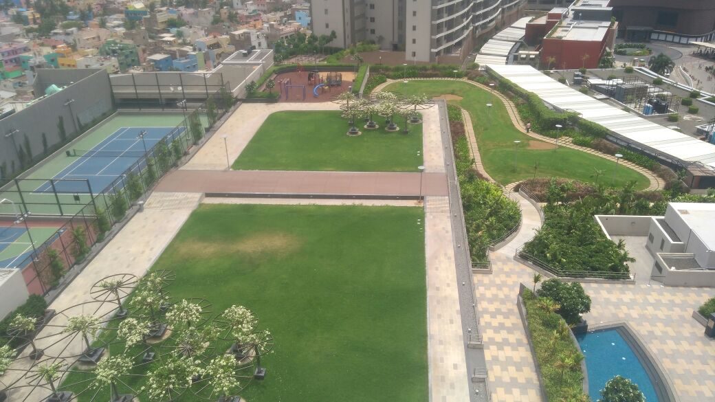 Terrace swimming pool with tiled deck seen from above