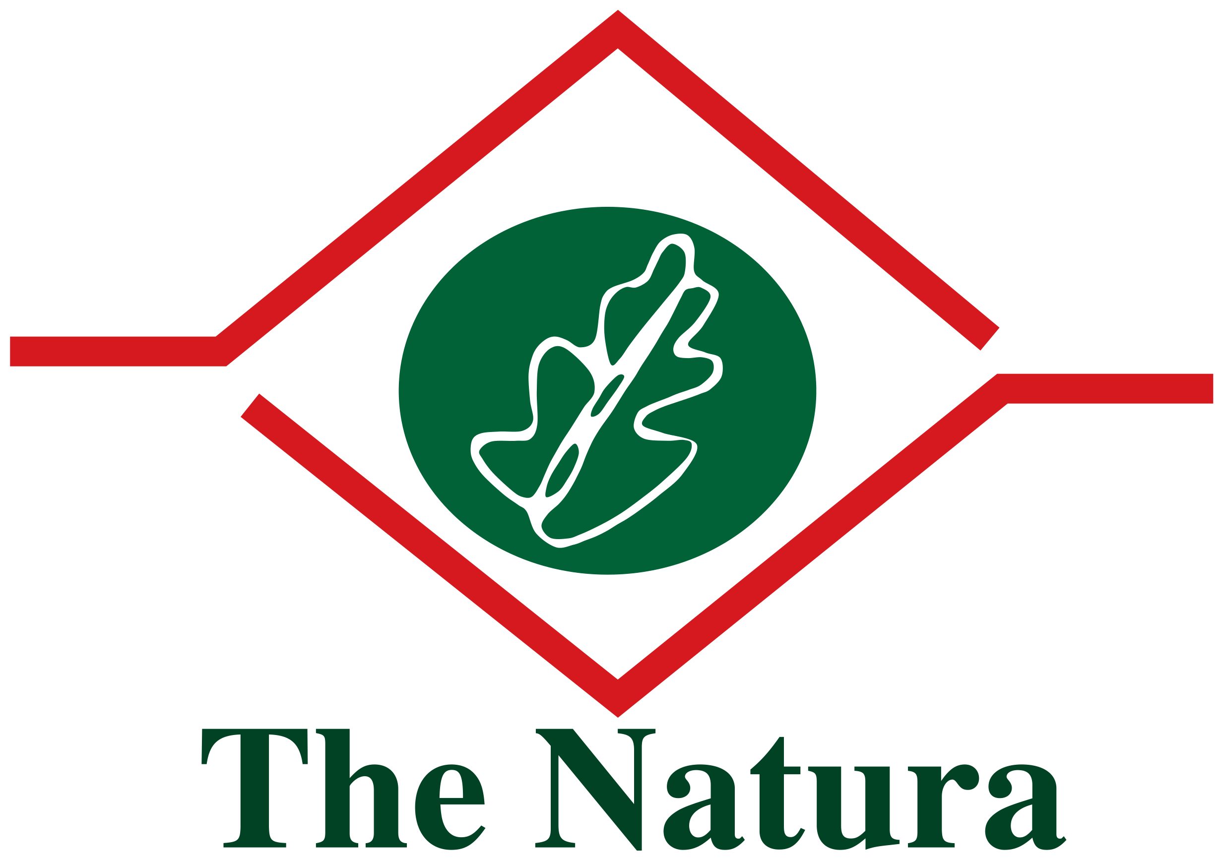The Natura logo